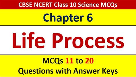 Life Processes Cbse Class Science Mcq Questions With Answer Keys