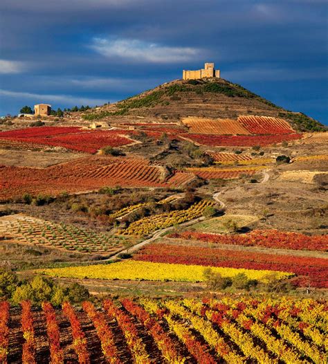 El Paisaje De Viñas Riojano Spain Travel Rioja Rioja Spain