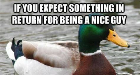 23 Funny Life Advice Quotes You Should Not Take Too Seriously