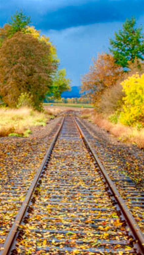 Autumn Rails Source Scenic Railroads Train Tracks Scenic