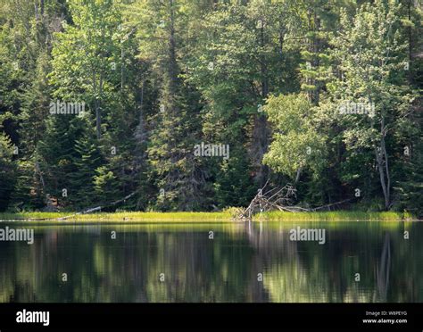Wilderness Scenery In Northern Ontario Hi Res Stock Photography And