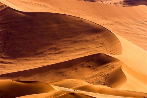 Free Photo Beautiful Landscape Of Orange Sand Dune Orange Sand At