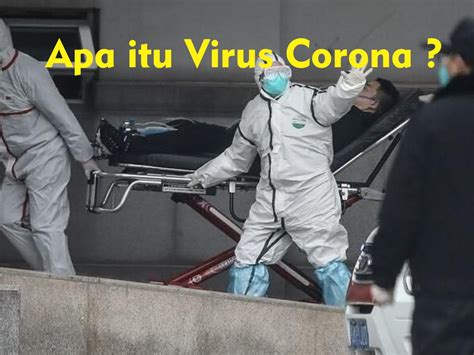 Apa Itu Virus Corona Kenali Dan Apa Gejalanya