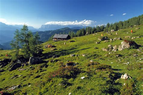 Live webcams infos über ⛅ wetter & pistenzustände aus dem großarltal, dem tal der almen im salzburger land, österreich. Wandern & Mountainbiken, Breitenebenalm Großarl, Tal der Almen