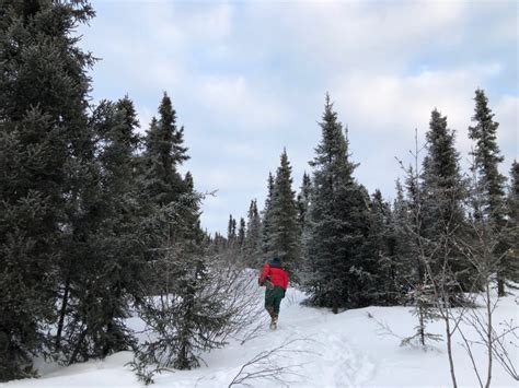 Adventures In The White Mountains Snowshoeing Wickersham Dome The
