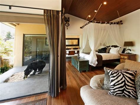 Go Inside Australias Hotel Within A Zoo Abc News