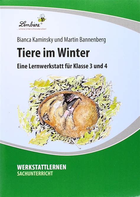 Bildergeschichten 4 klasse zum ausdrucken winter : Bildergeschichten 4. Klasse Volksschule Winter : Bildergeschichten Kostenlose Arbeitsblatter ...