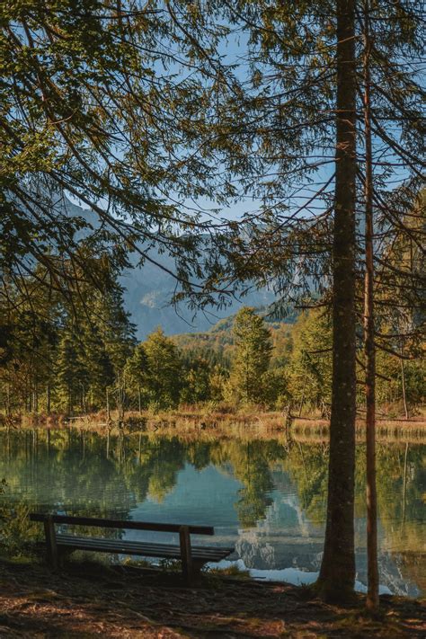 Scenic Photo Of Lake Near Trees · Free Stock Photo