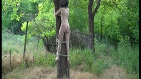 Whipping In The Forest Mistress Lady Jenny S Clip Store Clips Sale