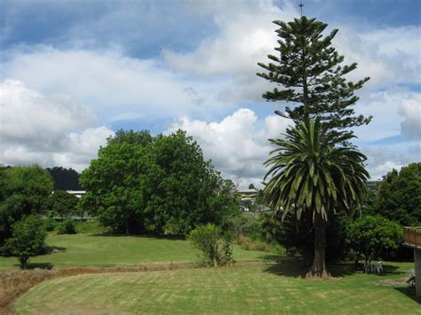 The Trees And Flowers Of Whangarei Home