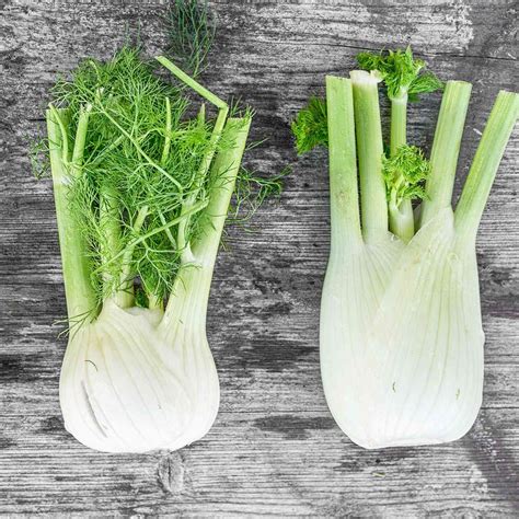 What Is Fennel And How Can I Use It