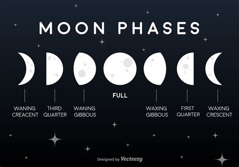 Moon Phases Vector Download Free Vector Art Stock Graphics And Images