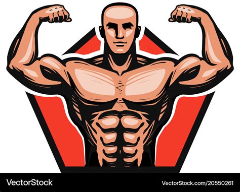 gym bodybuilding fitness logo or label muscle vector image