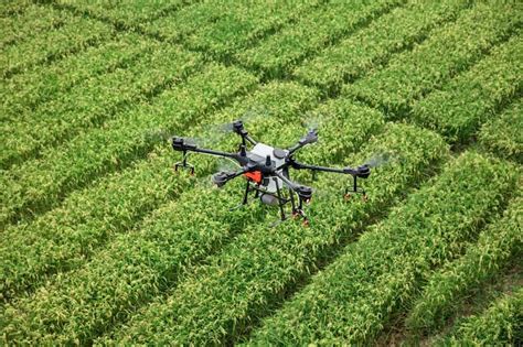 5 Best Drones For Agriculture In 2022 Buying Guide For Beginners
