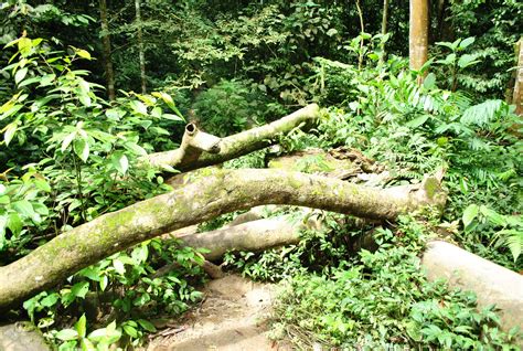 Join facebook to connect with puteri lindungan bulan and others you may know. Bukan Puteri Lindungan Bulan: Lepuh Waterfall, Hulu Langat
