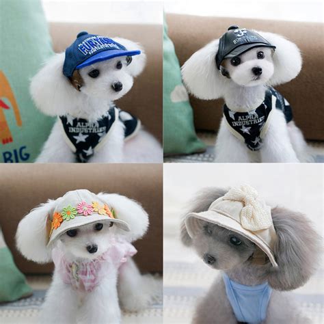 Biker Hat Pets Helmets Ridding Cap Abs Doggie Puppy Motorcycle Protect