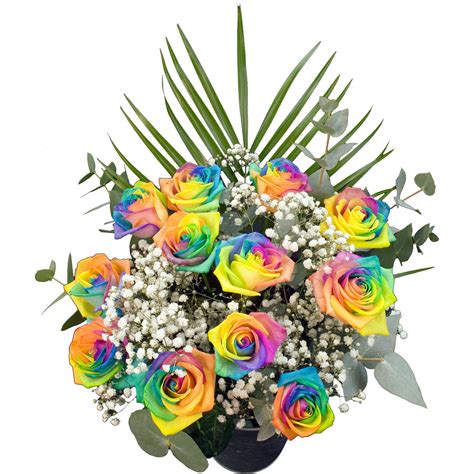 12 Long Stemmed Happy Rainbow Roses Hand Wrapped In Colour