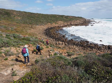 An Easier Walk On The Cape To Cape Track Inspiration Outdoors