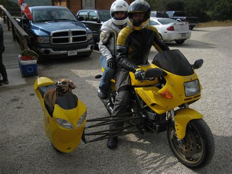 Motorcycle 74 Ducati Sidecar Dog