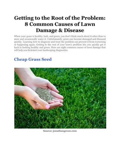 Ppt Getting To The Root Of The Problem 8 Common Causes Of Lawn