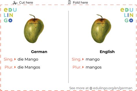Mango In German • Writing And Pronunciation With Pictures
