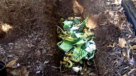 Trench Composting Gardening Alchemy Gardening Latest