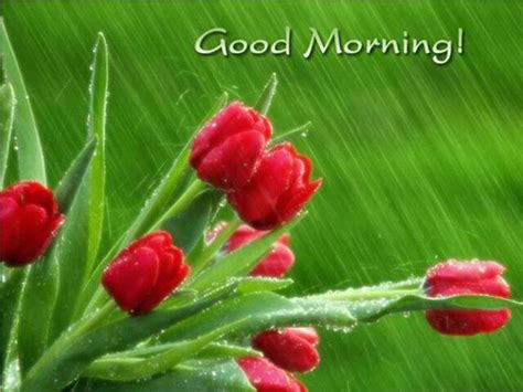 यहाँ पर हम कुछ good morning quotes hindi font me दे रहे है जो आप अपनों के साथ facebook & whatsapp शेयर कर सकते है. Sms with Wallpapers: Good Morning whatsapp images for mobile