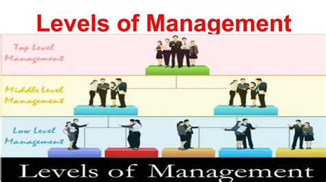 Levels Of Management And Function Of Each Level Of Management Youtube