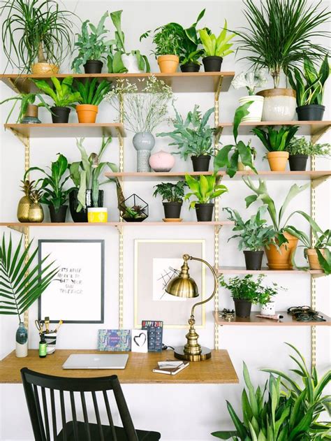 15 Gorgeous Ways To Decorate With Plants Room With Plants Decor