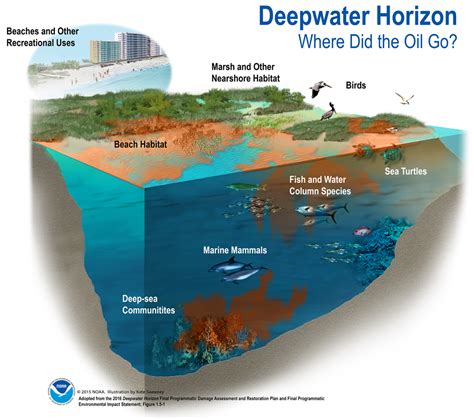 The Deepwater Horizon Oil Spill Restoration Is Still Ongoing