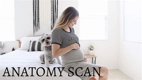 Spotting, past miscarriage, or fertility treatments are extra reasons why some women might wonder whether the baby is okay in there. ANATOMY SCAN // what to expect (my experience) - YouTube