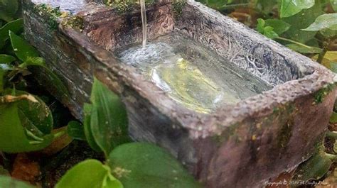 A Bird Bath In The Middle Of Some Plants And Rocks With Water Coming Out Of It