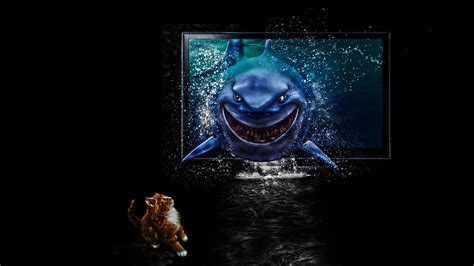 Finding Nemo Hd Wallpaper Background Image 1920x1080