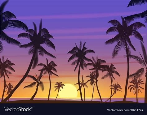 Palm Coconut Trees Silhouette At Sunset Or Sunrise