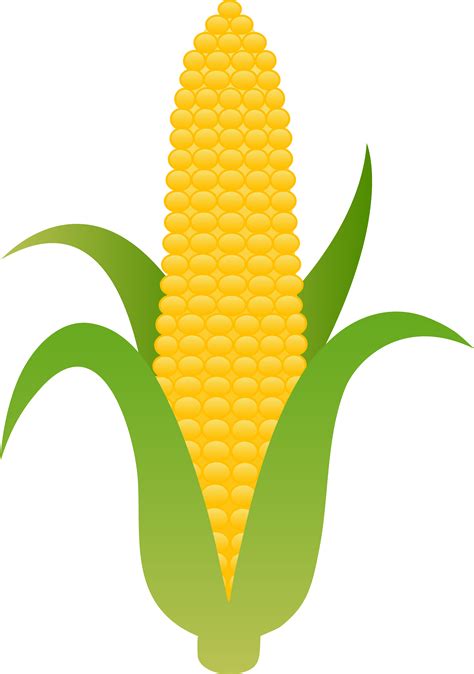 Cartoon Corn On The Cob Free Download On Clipartmag