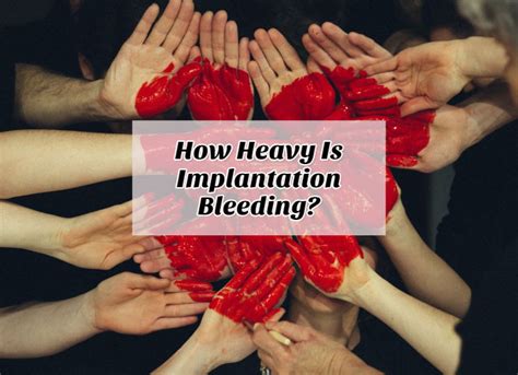 How Heavy Is Implantation Bleeding Updated 2022