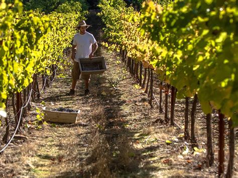 The list of will definitions helps to quickly define will and get the meaning with synonyms and sample usage. Join our Very Own David James for Define 2014 Harvest ...