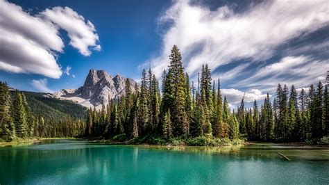 Download Wallpaper 1920x1080 Mountains Lake Spruce