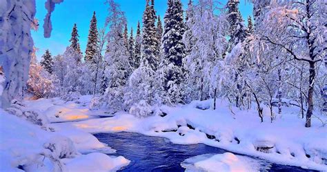 4k Winter Hd Wallpapers For Android Apk Download