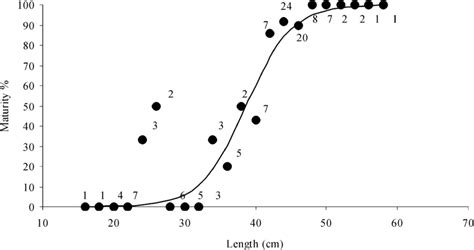 Black Anglerfish Maturity Ogive For Males Number Of Observations Is