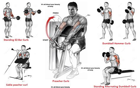 How To Pin Loaded Preacher Curl On Biceps Videos And Guide