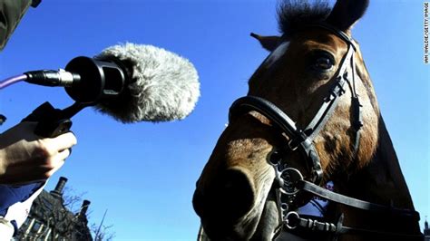 Creating The Sound Of Showjumping Microphones On Anything That Moves