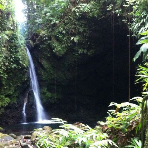 visit the beautiful jaco falls recently renamed hibiscus falls in the rainforest of dominica