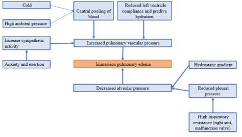 Pathophysiology Of Immersion Pulmonary Edema Download Scientific Diagram
