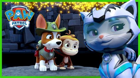 Cat Pack Rory Saves Leo And Tracker Paw Patrol Rescue Episode