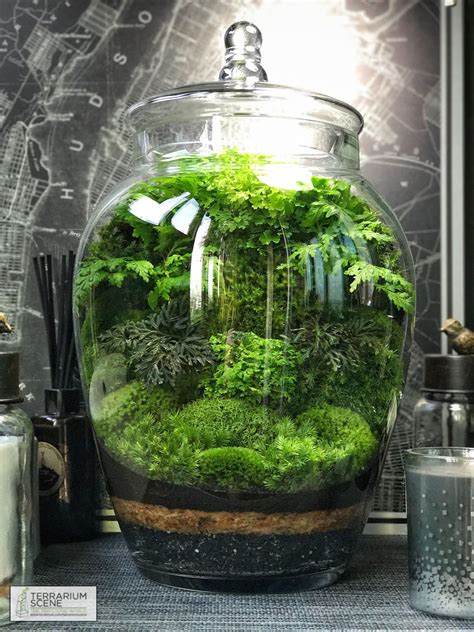 Unique Closed Glass Terrarium Ideas For Plant Terrariumideasdecor