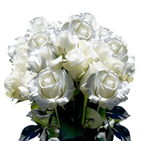 Send Xx Long Beautiful White Roses Globalrose
