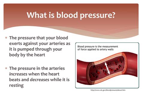 Ppt Blood Pressure Basics Powerpoint Presentation Free Download Id