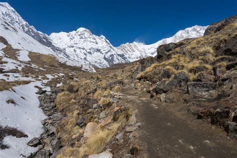 Trekking Trail To Annapurna Base Camp Pokhara Nepal Stock Image