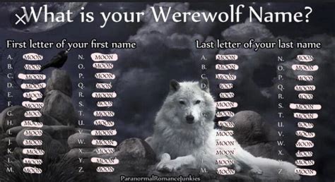 Exploring The Wolf Surname Its History Meaning And Contemporary Uses